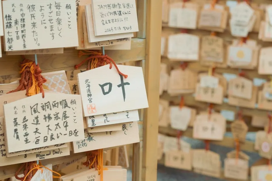 20240715-%ED%99%8B%EC%B9%B4%EC%9D%B4%EB%8F%84_%EC%8B%A0%EA%B6%81-27.jpg?type=w1