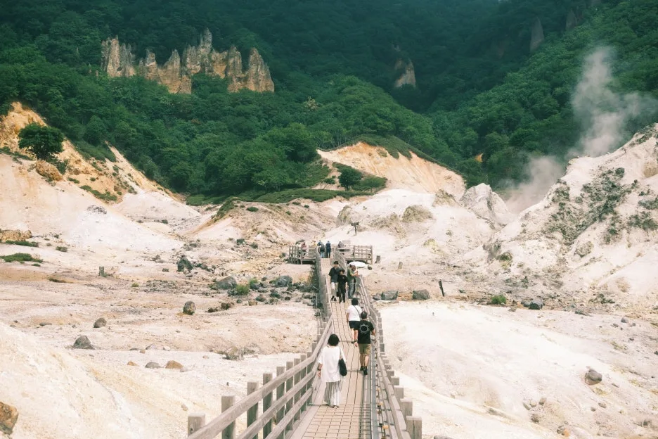 20240713-%EB%85%B8%EB%B3%B4%EB%A6%AC%EB%B2%A0%EC%B8%A0_%EB%8F%84%EC%95%BC%EC%BD%94-12.jpg?type=w1