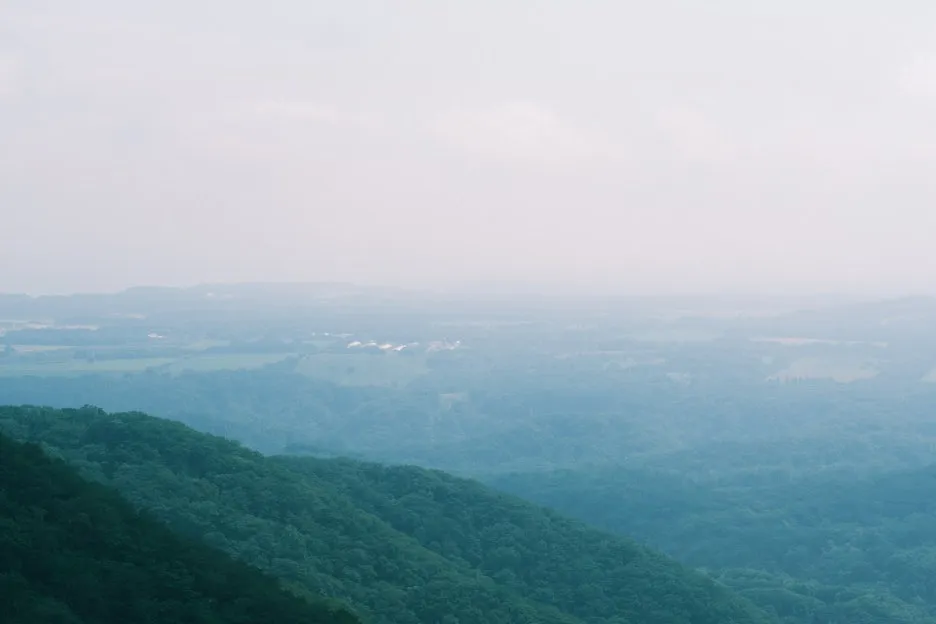 20240713-%EB%85%B8%EB%B3%B4%EB%A6%AC%EB%B2%A0%EC%B8%A0_%EB%8F%84%EC%95%BC%EC%BD%94-39.jpg?type=w1