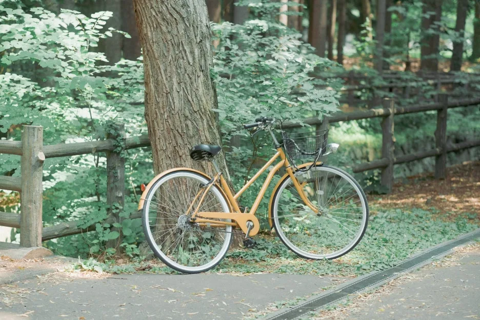 20240715-%ED%99%8B%EC%B9%B4%EC%9D%B4%EB%8F%84_%EC%8B%A0%EA%B6%81-44.jpg?type=w1