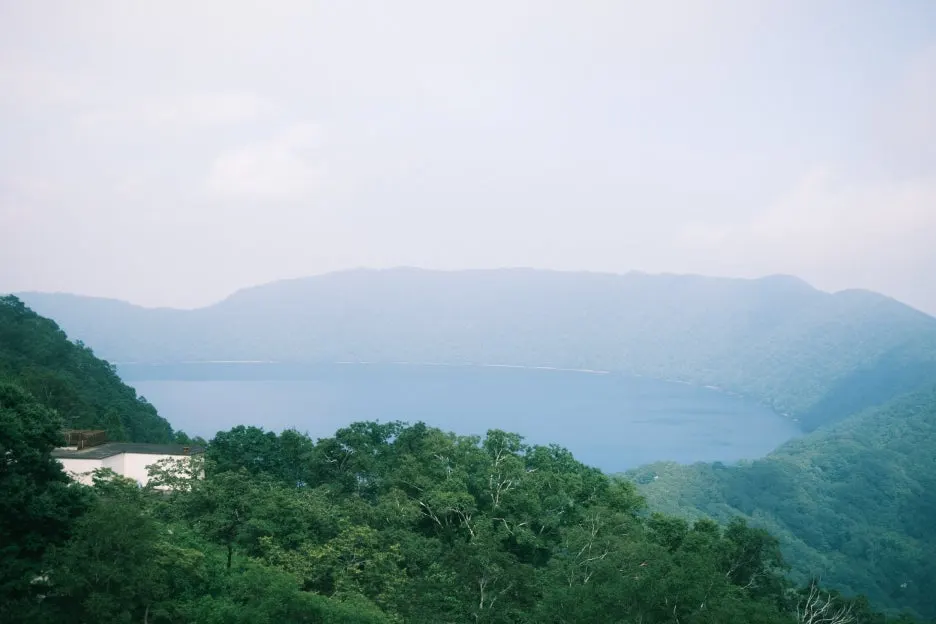 20240713-%EB%85%B8%EB%B3%B4%EB%A6%AC%EB%B2%A0%EC%B8%A0_%EB%8F%84%EC%95%BC%EC%BD%94-58.jpg?type=w1