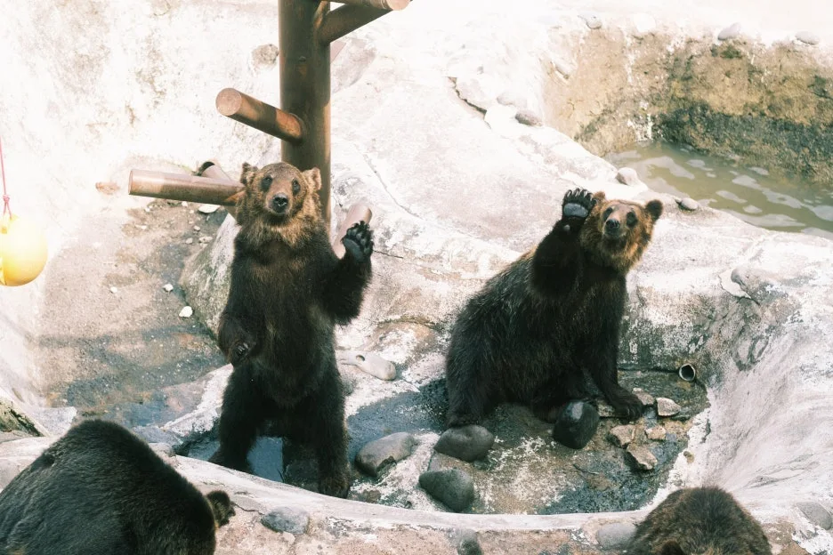 20240713-%EB%85%B8%EB%B3%B4%EB%A6%AC%EB%B2%A0%EC%B8%A0_%EB%8F%84%EC%95%BC%EC%BD%94-56.jpg?type=w1