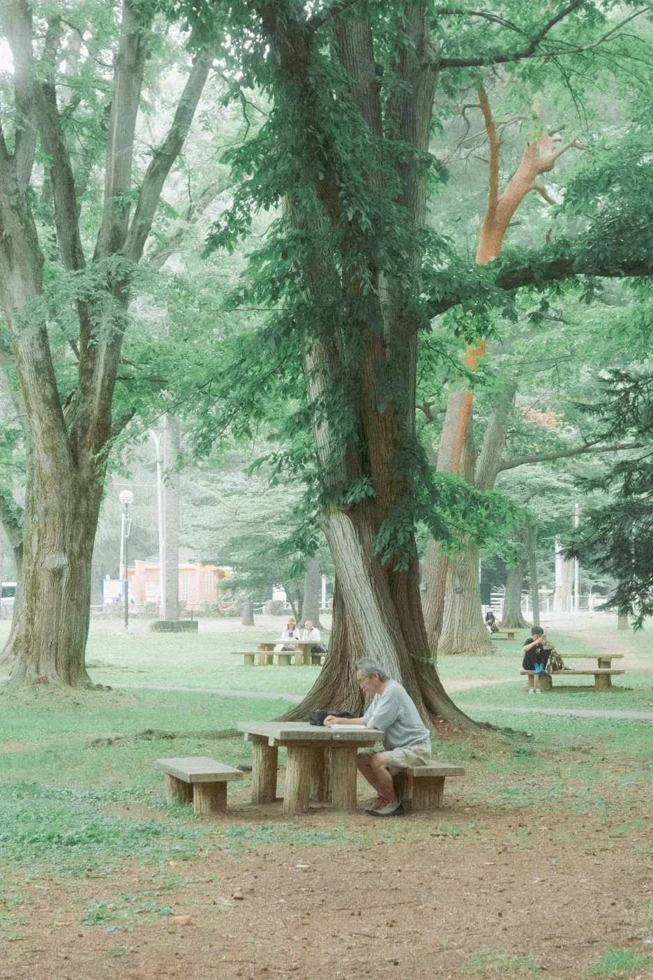 20240715-%ED%99%8B%EC%B9%B4%EC%9D%B4%EB%8F%84_%EC%8B%A0%EA%B6%81-11.jpg?type=w1