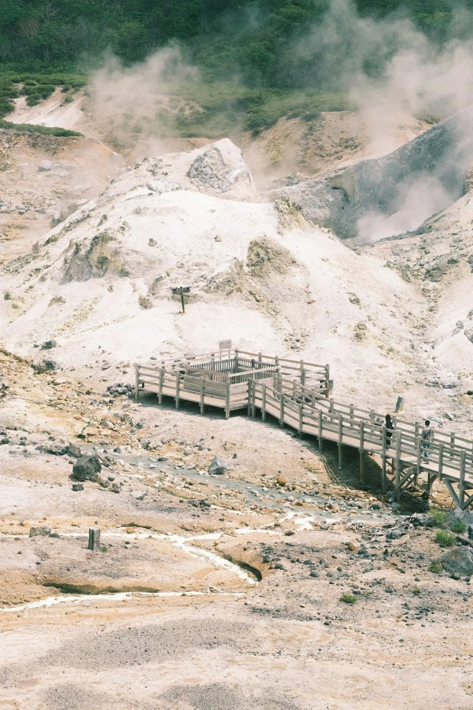 20240713-%EB%85%B8%EB%B3%B4%EB%A6%AC%EB%B2%A0%EC%B8%A0_%EB%8F%84%EC%95%BC%EC%BD%94-18.jpg?type=w1