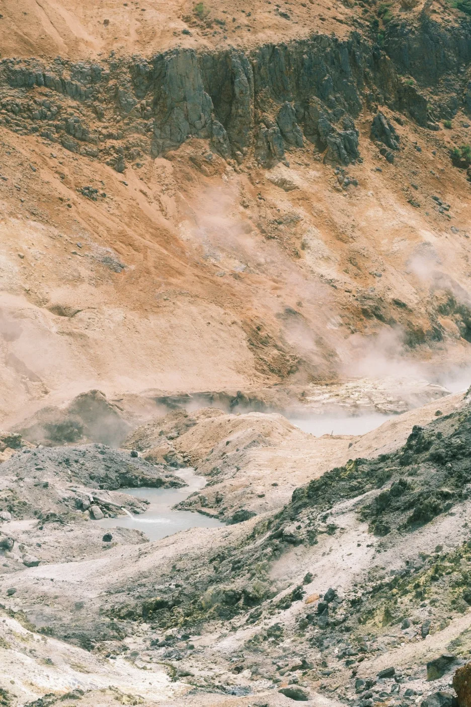 20240713-%EB%85%B8%EB%B3%B4%EB%A6%AC%EB%B2%A0%EC%B8%A0_%EB%8F%84%EC%95%BC%EC%BD%94-16.jpg?type=w1