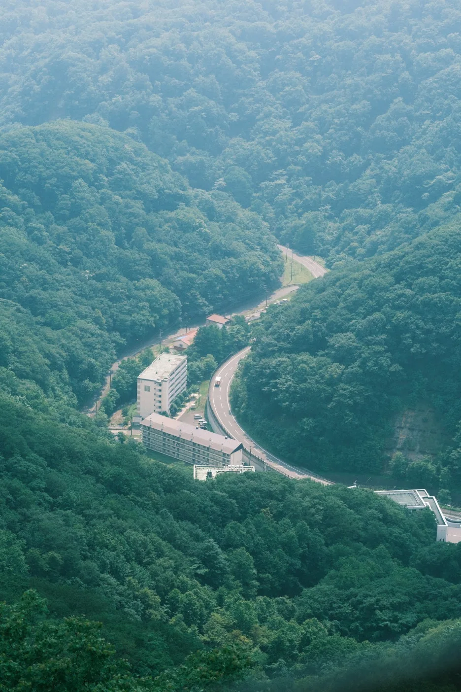 20240713-%EB%85%B8%EB%B3%B4%EB%A6%AC%EB%B2%A0%EC%B8%A0_%EB%8F%84%EC%95%BC%EC%BD%94-38.jpg?type=w1