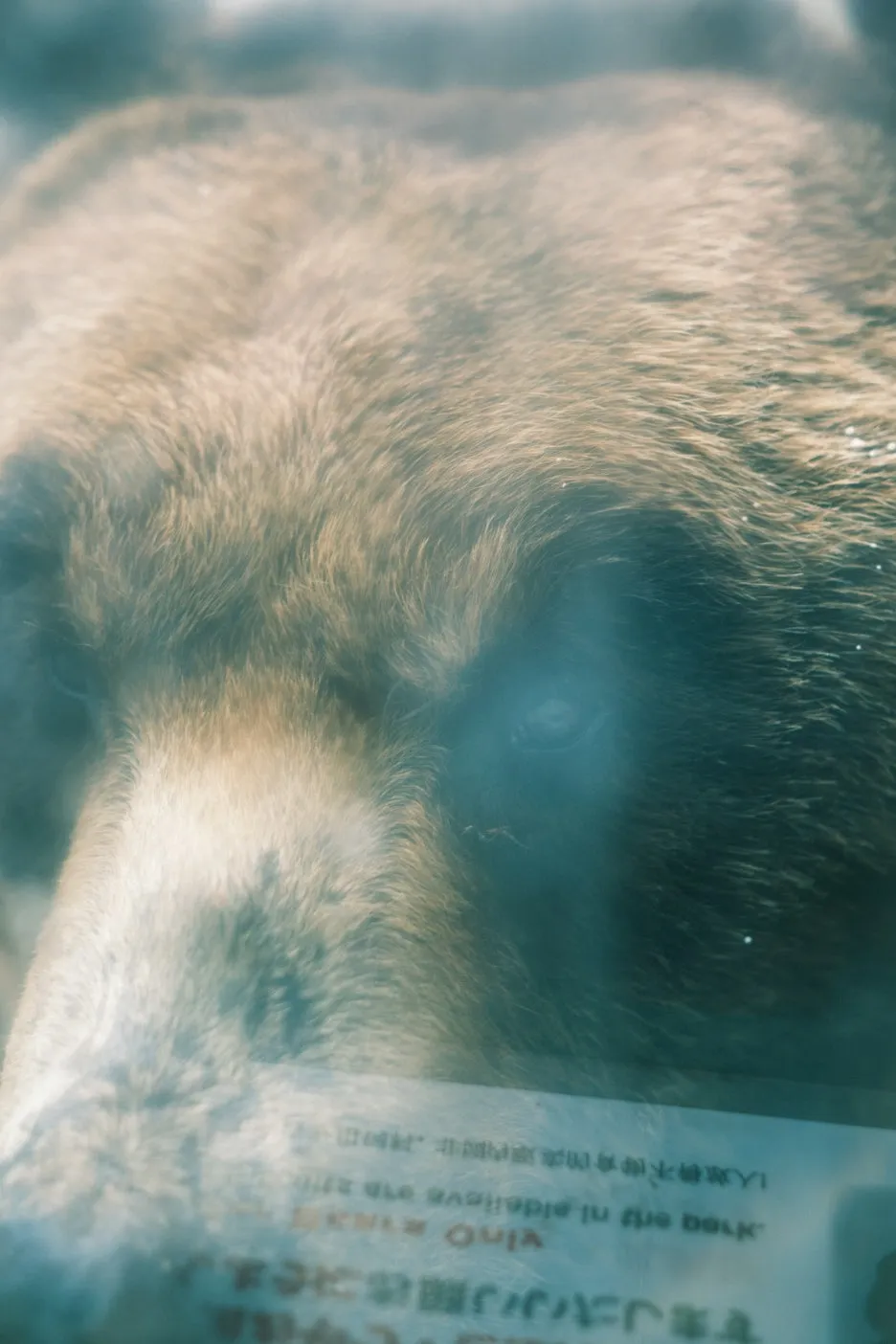 20240713-%EB%85%B8%EB%B3%B4%EB%A6%AC%EB%B2%A0%EC%B8%A0_%EB%8F%84%EC%95%BC%EC%BD%94-48.jpg?type=w1