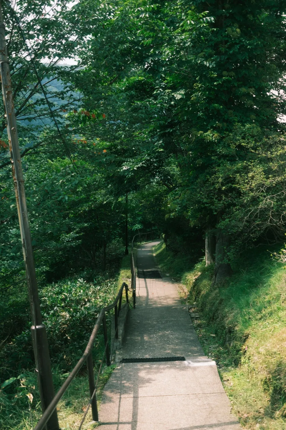 20240713-%EB%85%B8%EB%B3%B4%EB%A6%AC%EB%B2%A0%EC%B8%A0_%EB%8F%84%EC%95%BC%EC%BD%94-25.jpg?type=w1