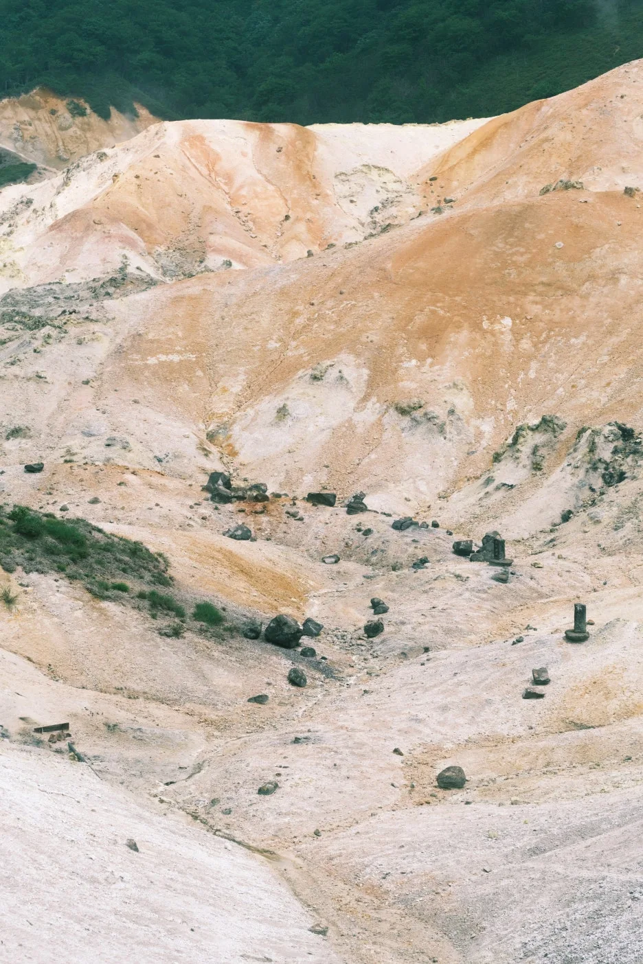 20240713-%EB%85%B8%EB%B3%B4%EB%A6%AC%EB%B2%A0%EC%B8%A0_%EB%8F%84%EC%95%BC%EC%BD%94-21.jpg?type=w1