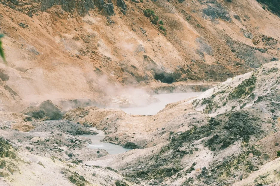 20240713-%EB%85%B8%EB%B3%B4%EB%A6%AC%EB%B2%A0%EC%B8%A0_%EB%8F%84%EC%95%BC%EC%BD%94-20.jpg?type=w1