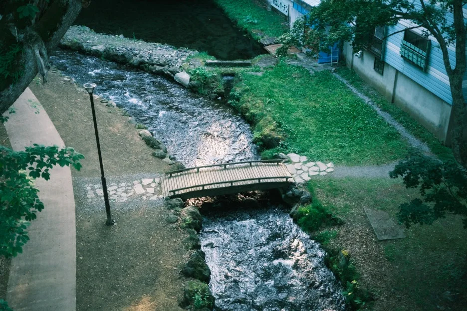 20240713-%EB%85%B8%EB%B3%B4%EB%A6%AC%EB%B2%A0%EC%B8%A0_%EB%8F%84%EC%95%BC%EC%BD%94-74.jpg?type=w1