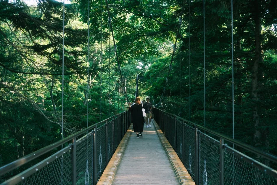 20240713-%EB%85%B8%EB%B3%B4%EB%A6%AC%EB%B2%A0%EC%B8%A0_%EB%8F%84%EC%95%BC%EC%BD%94-73.jpg?type=w1