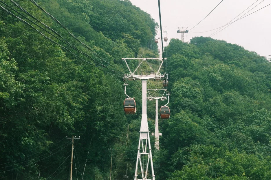 20240713-%EB%85%B8%EB%B3%B4%EB%A6%AC%EB%B2%A0%EC%B8%A0_%EB%8F%84%EC%95%BC%EC%BD%94-37.jpg?type=w1