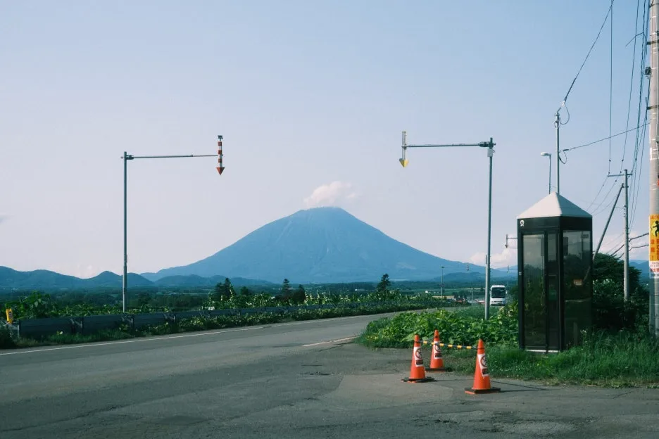 20240713-%EB%85%B8%EB%B3%B4%EB%A6%AC%EB%B2%A0%EC%B8%A0_%EB%8F%84%EC%95%BC%EC%BD%94-59.jpg?type=w1