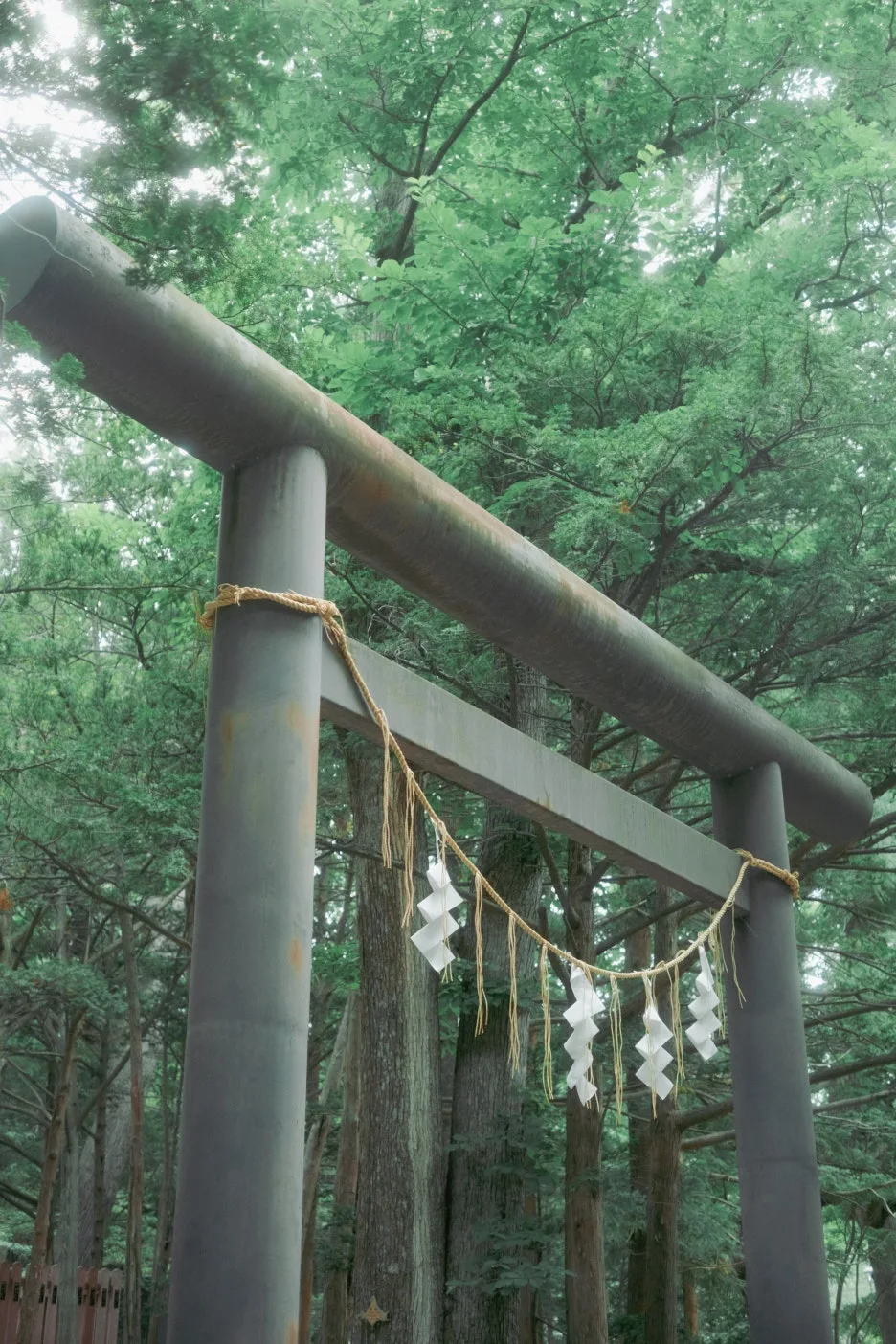 20240715-%ED%99%8B%EC%B9%B4%EC%9D%B4%EB%8F%84_%EC%8B%A0%EA%B6%81-17.jpg?type=w1