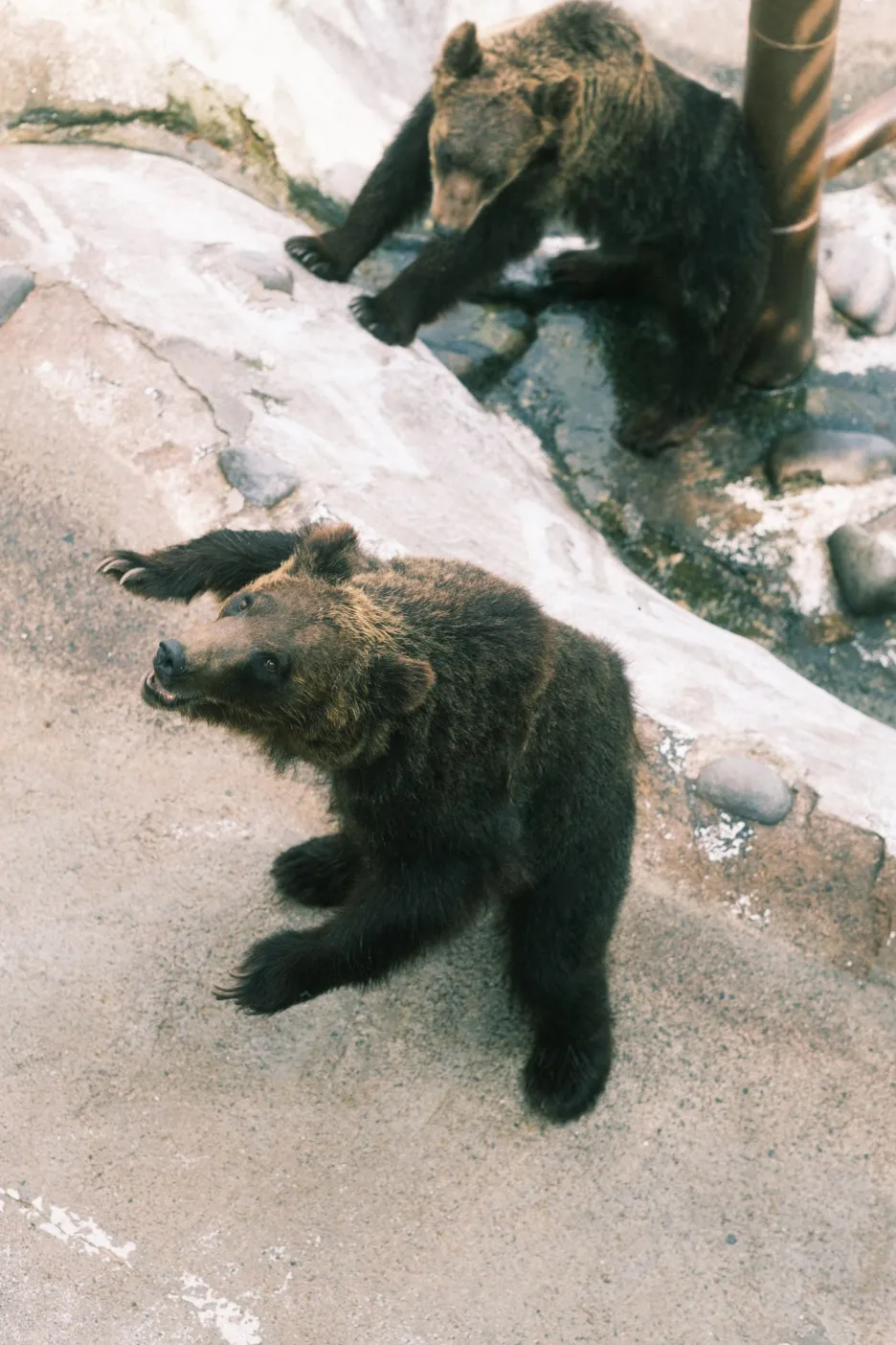 20240713-%EB%85%B8%EB%B3%B4%EB%A6%AC%EB%B2%A0%EC%B8%A0_%EB%8F%84%EC%95%BC%EC%BD%94-52.jpg?type=w1