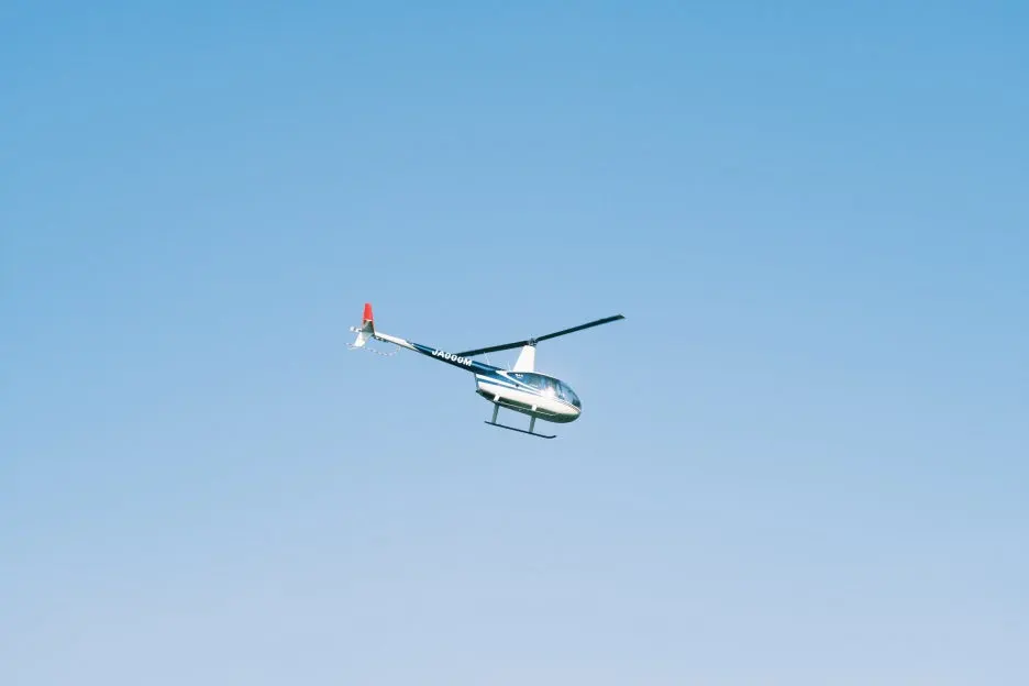 20240713-%EB%85%B8%EB%B3%B4%EB%A6%AC%EB%B2%A0%EC%B8%A0_%EB%8F%84%EC%95%BC%EC%BD%94-72.jpg?type=w1