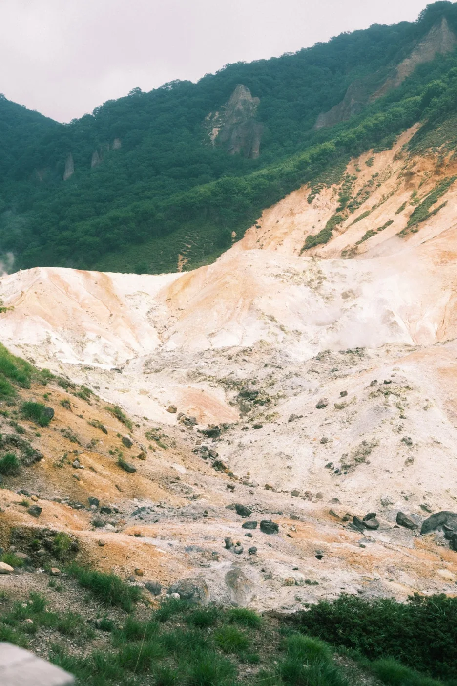 20240713-%EB%85%B8%EB%B3%B4%EB%A6%AC%EB%B2%A0%EC%B8%A0_%EB%8F%84%EC%95%BC%EC%BD%94-9.jpg?type=w1