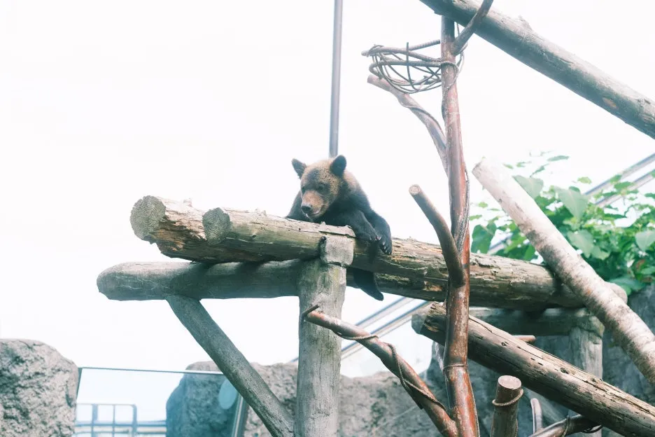 20240713-%EB%85%B8%EB%B3%B4%EB%A6%AC%EB%B2%A0%EC%B8%A0_%EB%8F%84%EC%95%BC%EC%BD%94-45.jpg?type=w1