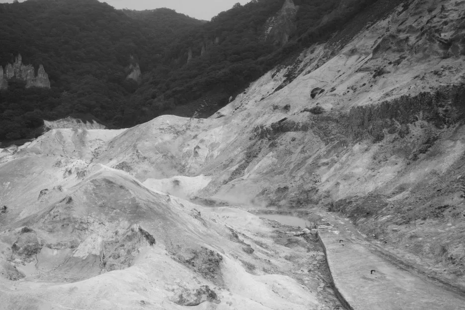 20240713-%EB%85%B8%EB%B3%B4%EB%A6%AC%EB%B2%A0%EC%B8%A0_%EB%8F%84%EC%95%BC%EC%BD%94-22.jpg?type=w1