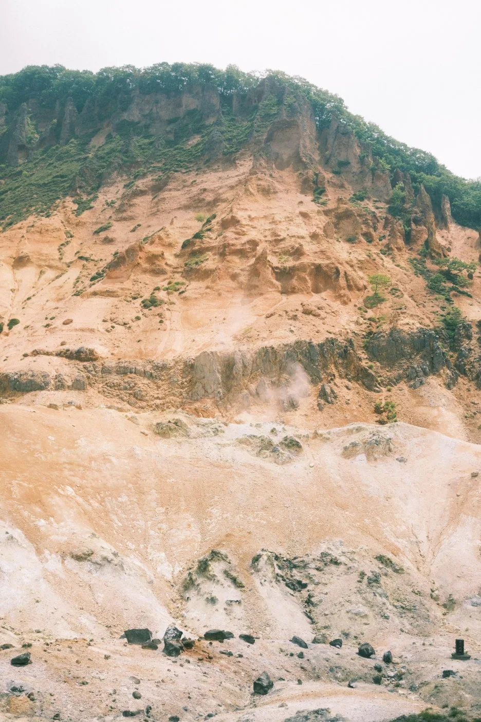 20240713-%EB%85%B8%EB%B3%B4%EB%A6%AC%EB%B2%A0%EC%B8%A0_%EB%8F%84%EC%95%BC%EC%BD%94-8.jpg?type=w1