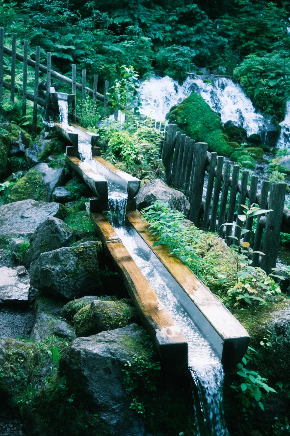 20240713-%EB%85%B8%EB%B3%B4%EB%A6%AC%EB%B2%A0%EC%B8%A0_%EB%8F%84%EC%95%BC%EC%BD%94-76.jpg?type=w1