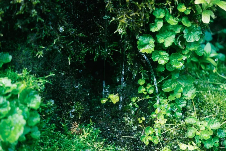 20240713-%EB%85%B8%EB%B3%B4%EB%A6%AC%EB%B2%A0%EC%B8%A0_%EB%8F%84%EC%95%BC%EC%BD%94-80.jpg?type=w1