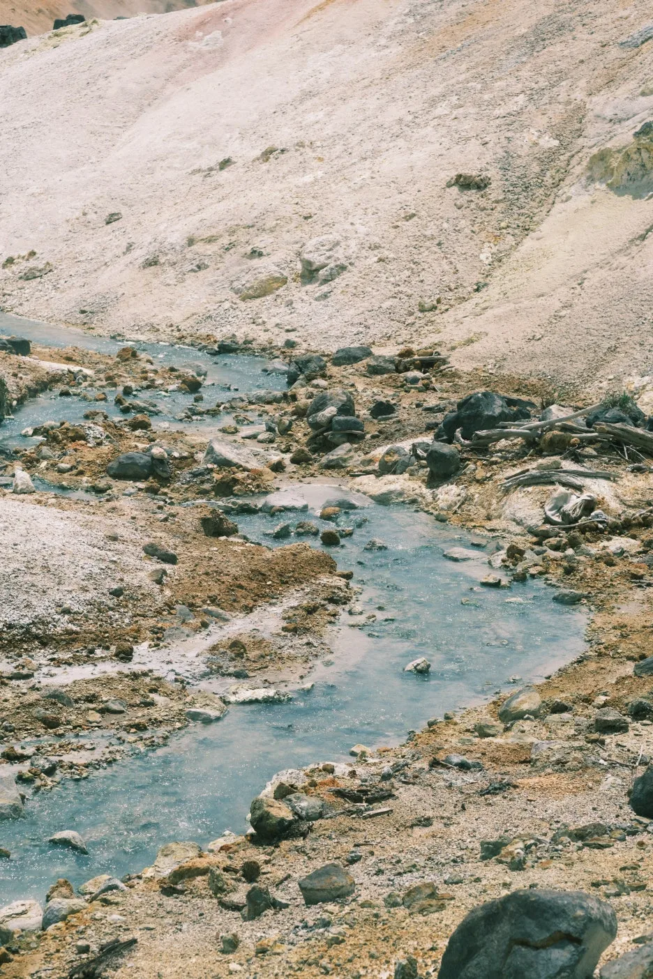 20240713-%EB%85%B8%EB%B3%B4%EB%A6%AC%EB%B2%A0%EC%B8%A0_%EB%8F%84%EC%95%BC%EC%BD%94-13.jpg?type=w1