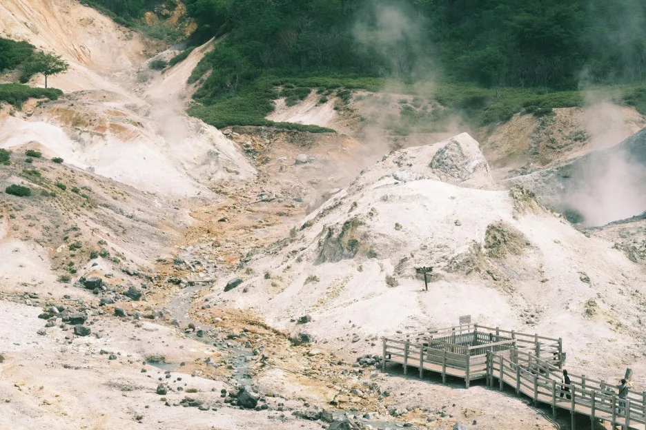 20240713-%EB%85%B8%EB%B3%B4%EB%A6%AC%EB%B2%A0%EC%B8%A0_%EB%8F%84%EC%95%BC%EC%BD%94-19.jpg?type=w1