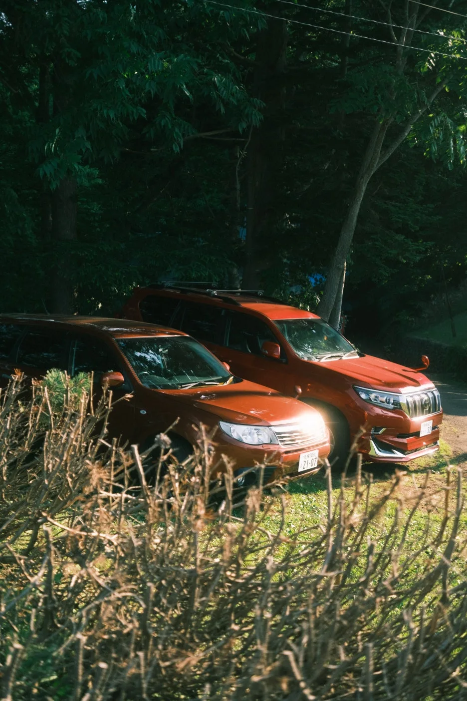 20240713-%EB%85%B8%EB%B3%B4%EB%A6%AC%EB%B2%A0%EC%B8%A0_%EB%8F%84%EC%95%BC%EC%BD%94-86.jpg?type=w1