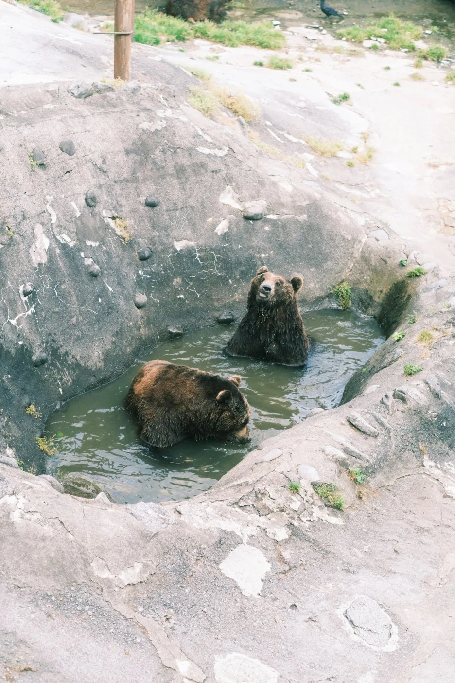 20240713-%EB%85%B8%EB%B3%B4%EB%A6%AC%EB%B2%A0%EC%B8%A0_%EB%8F%84%EC%95%BC%EC%BD%94-51.jpg?type=w1