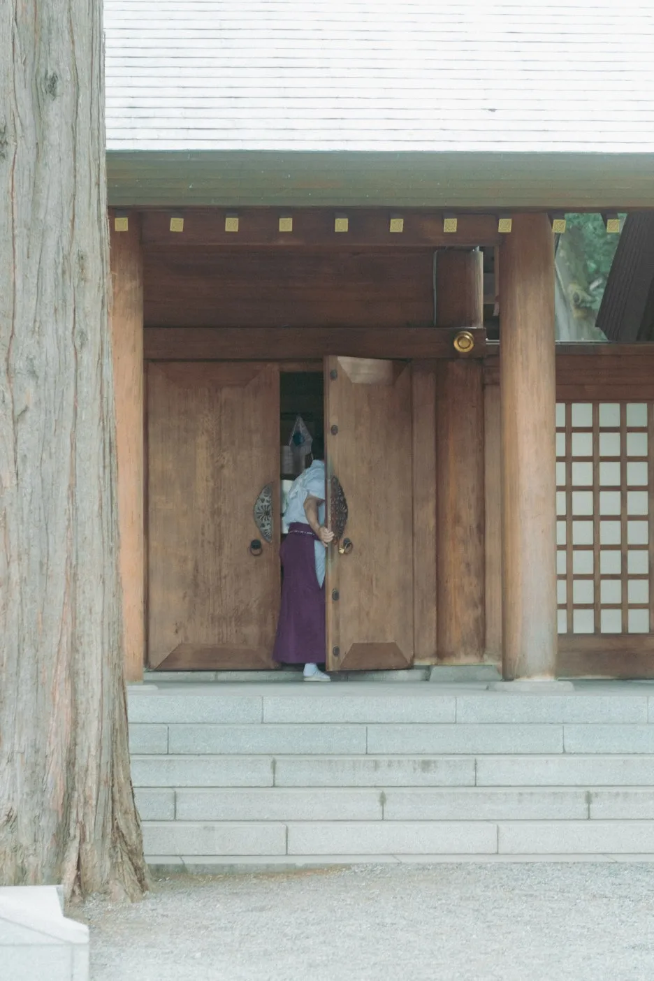 20240715-%ED%99%8B%EC%B9%B4%EC%9D%B4%EB%8F%84_%EC%8B%A0%EA%B6%81-26.jpg?type=w1