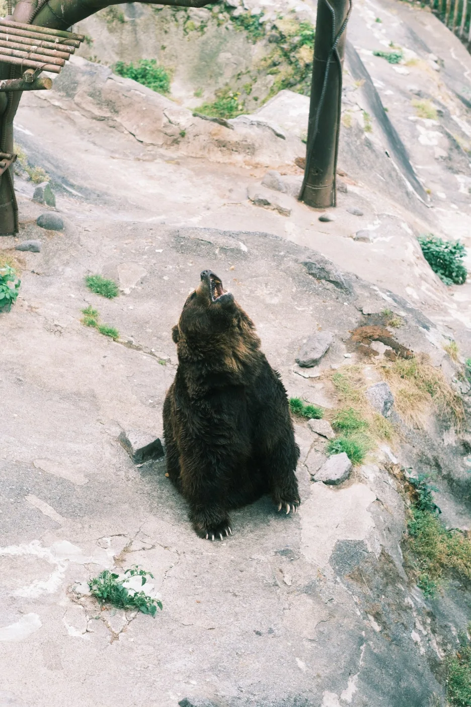 20240713-%EB%85%B8%EB%B3%B4%EB%A6%AC%EB%B2%A0%EC%B8%A0_%EB%8F%84%EC%95%BC%EC%BD%94-50.jpg?type=w1