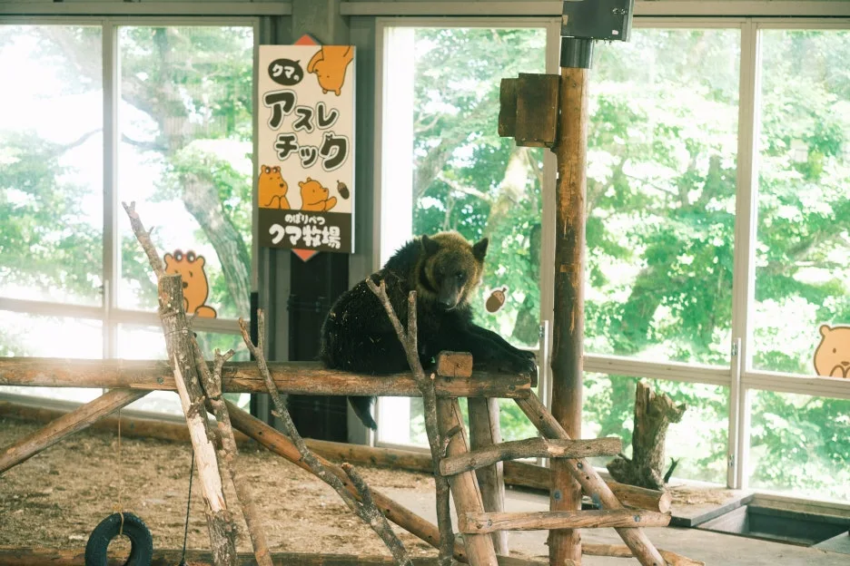 20240713-%EB%85%B8%EB%B3%B4%EB%A6%AC%EB%B2%A0%EC%B8%A0_%EB%8F%84%EC%95%BC%EC%BD%94-42.jpg?type=w1