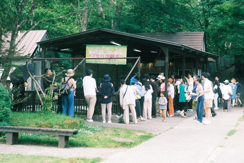 20240713-%EB%85%B8%EB%B3%B4%EB%A6%AC%EB%B2%A0%EC%B8%A0_%EB%8F%84%EC%95%BC%EC%BD%94-46.jpg?type=w1