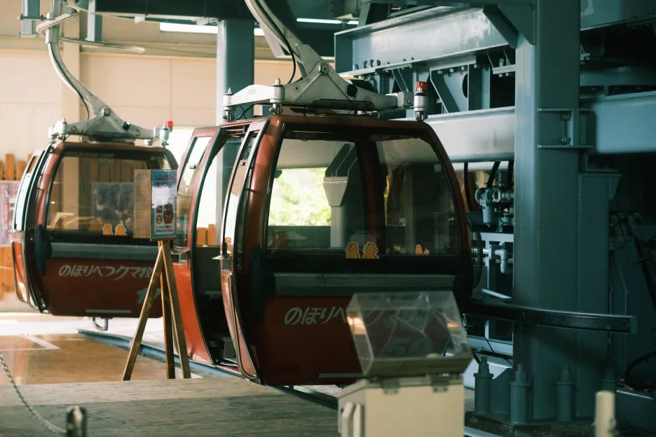 20240713-%EB%85%B8%EB%B3%B4%EB%A6%AC%EB%B2%A0%EC%B8%A0_%EB%8F%84%EC%95%BC%EC%BD%94-31.jpg?type=w1