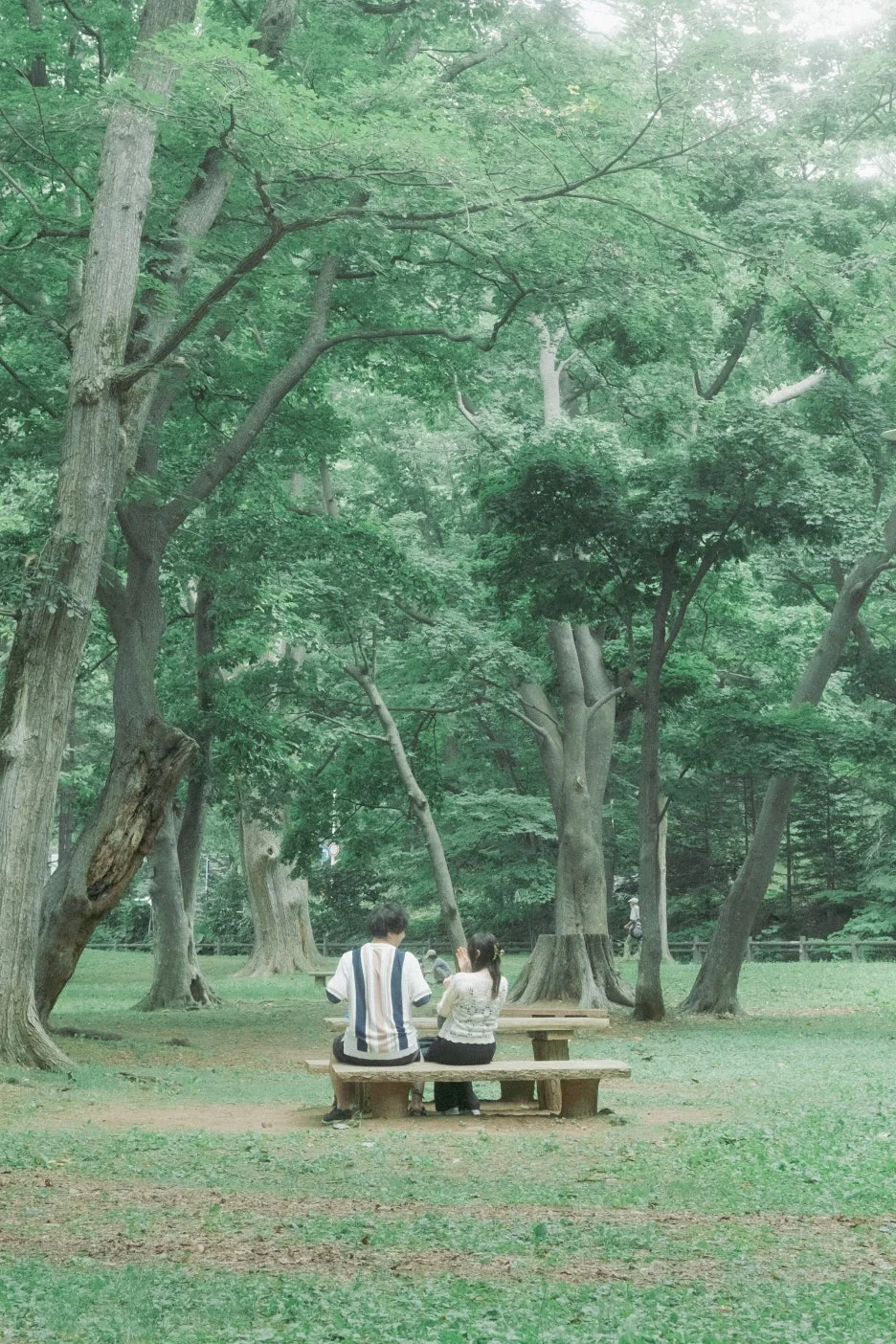 20240715-%ED%99%8B%EC%B9%B4%EC%9D%B4%EB%8F%84_%EC%8B%A0%EA%B6%81-12.jpg?type=w1