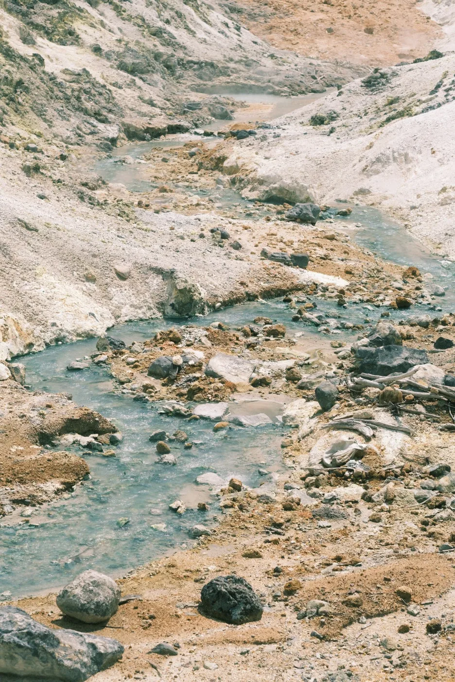 20240713-%EB%85%B8%EB%B3%B4%EB%A6%AC%EB%B2%A0%EC%B8%A0_%EB%8F%84%EC%95%BC%EC%BD%94-15.jpg?type=w1