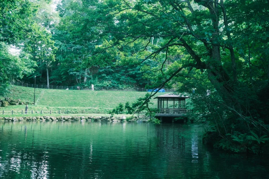 20240713-%EB%85%B8%EB%B3%B4%EB%A6%AC%EB%B2%A0%EC%B8%A0_%EB%8F%84%EC%95%BC%EC%BD%94-84.jpg?type=w1