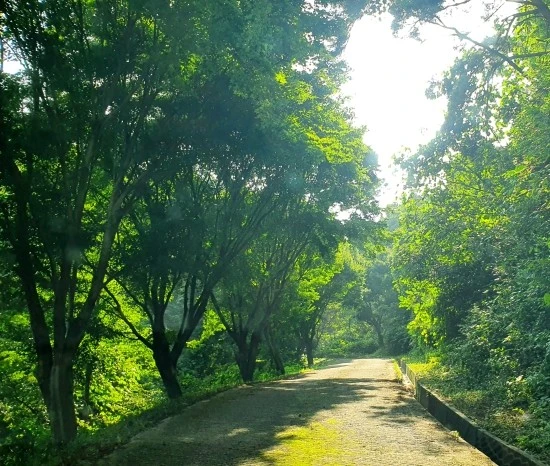 20200826_130729.jpg?type=w1