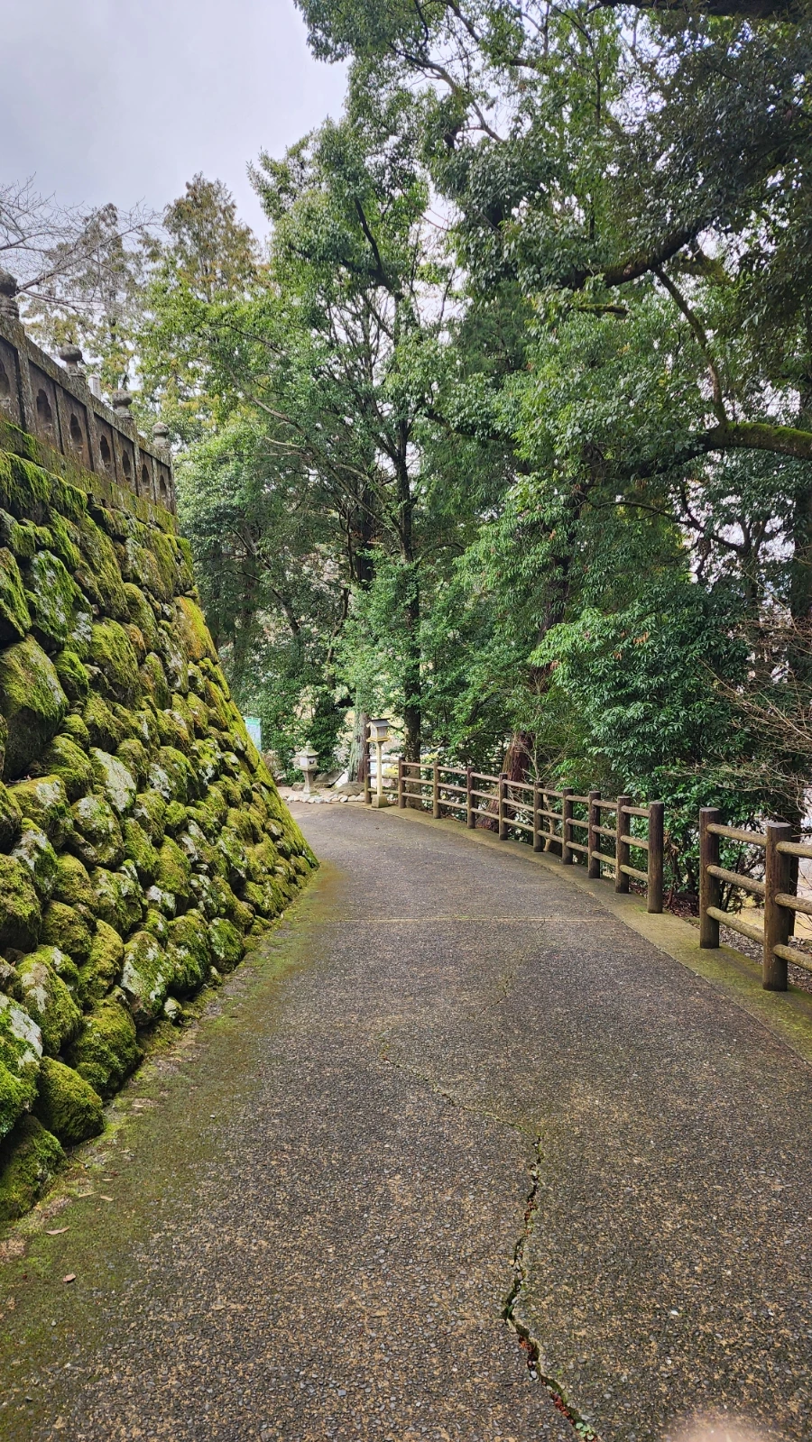 20240202%EF%BC%BF135439.jpg?type=w1