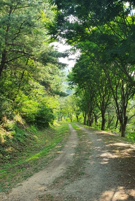 20200826_130624.jpg?type=w1