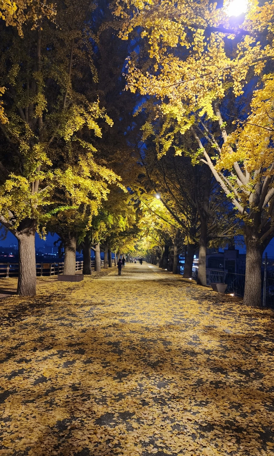 20221109%EF%BC%BF175921.jpg?type=w1