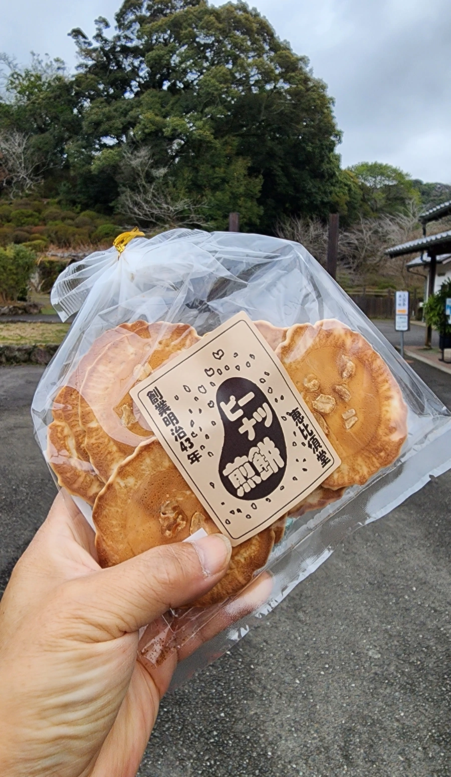 20240202%EF%BC%BF145341.jpg?type=w1