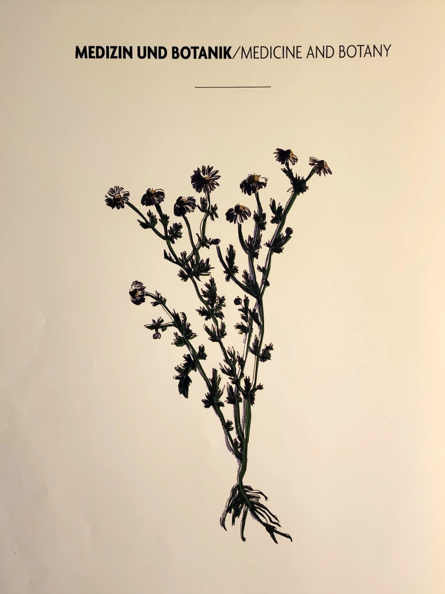 20230628%EF%BC%BF135020.jpg?type=w1