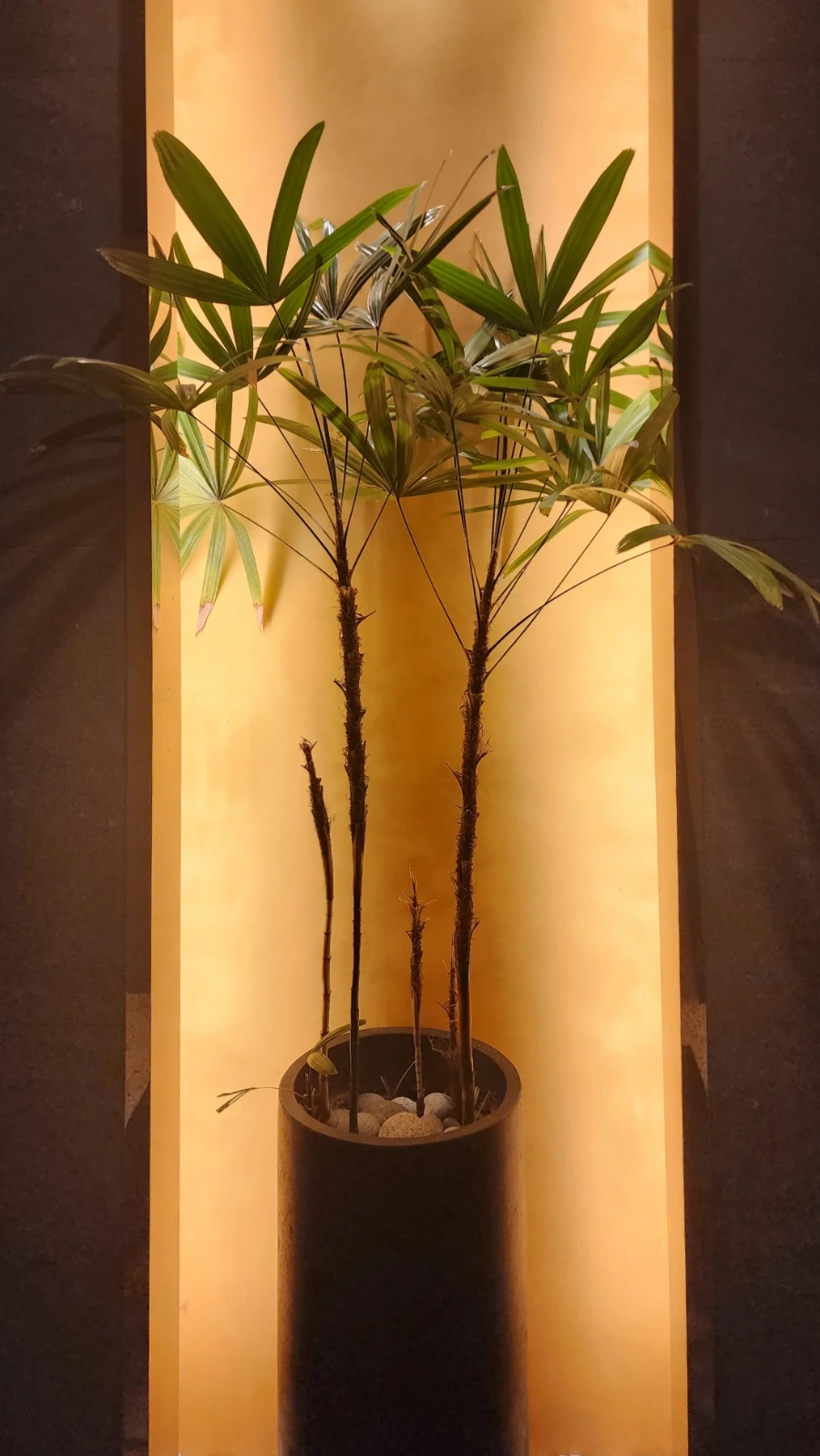 20231031%EF%BC%BF114640.jpg?type=w1