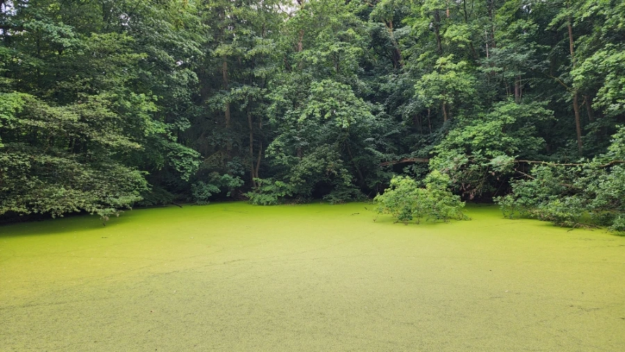 20230630%EF%BC%BF172610.jpg?type=w1