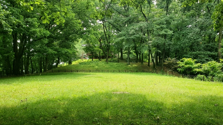 20210622%EF%BC%BF115545.jpg?type=w1