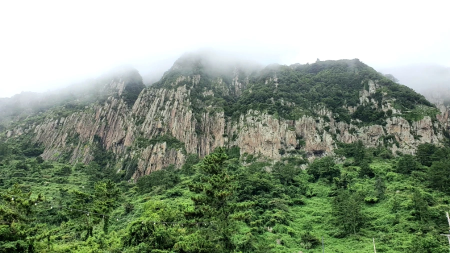 20210706_101440.jpg?type=w1