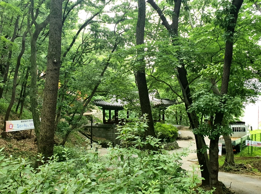 20210622%EF%BC%BF114743.jpg?type=w1